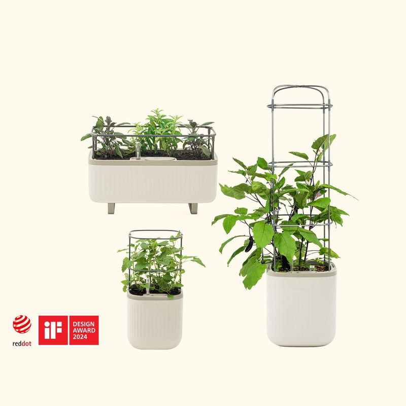 Planter Bundle (Self Watering Planters + Herb Planter + Mini Planter) with Cream White Color