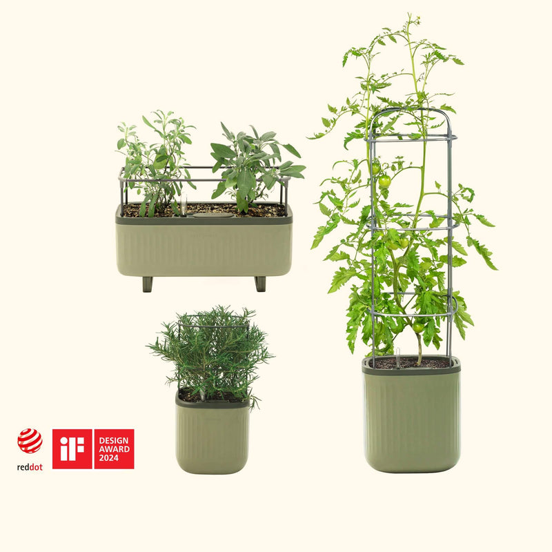 Planter Bundle (Self Watering Planters + Herb Planter + Mini Planter) with Sage Green Color