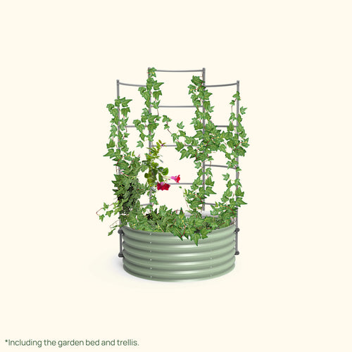 Wall Trellis 3.5' Round Bundle (Garden Bed + Trellis) | vego garden