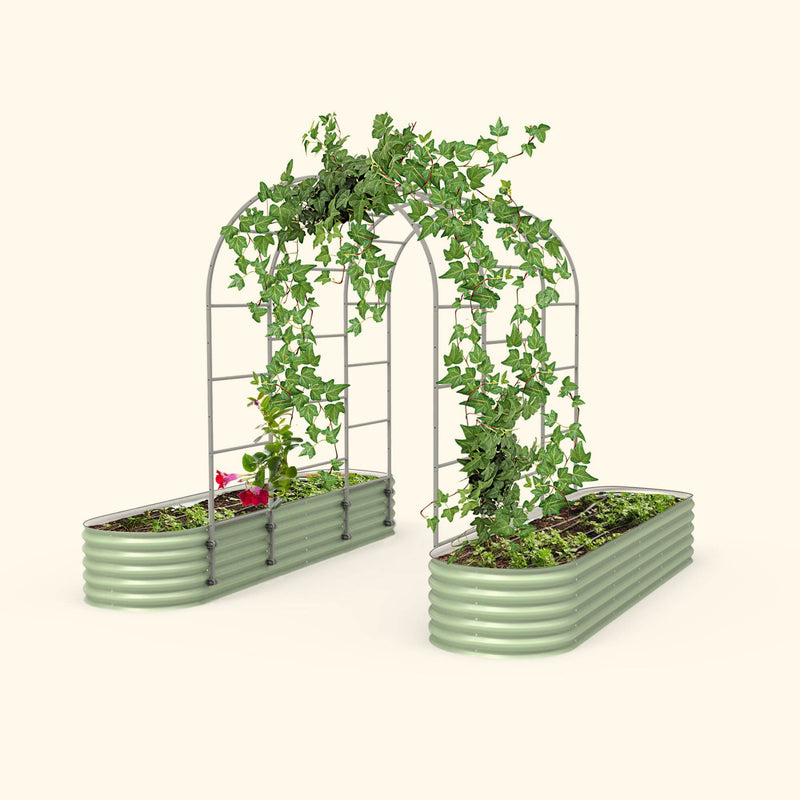 Arched Trellis 2.5&