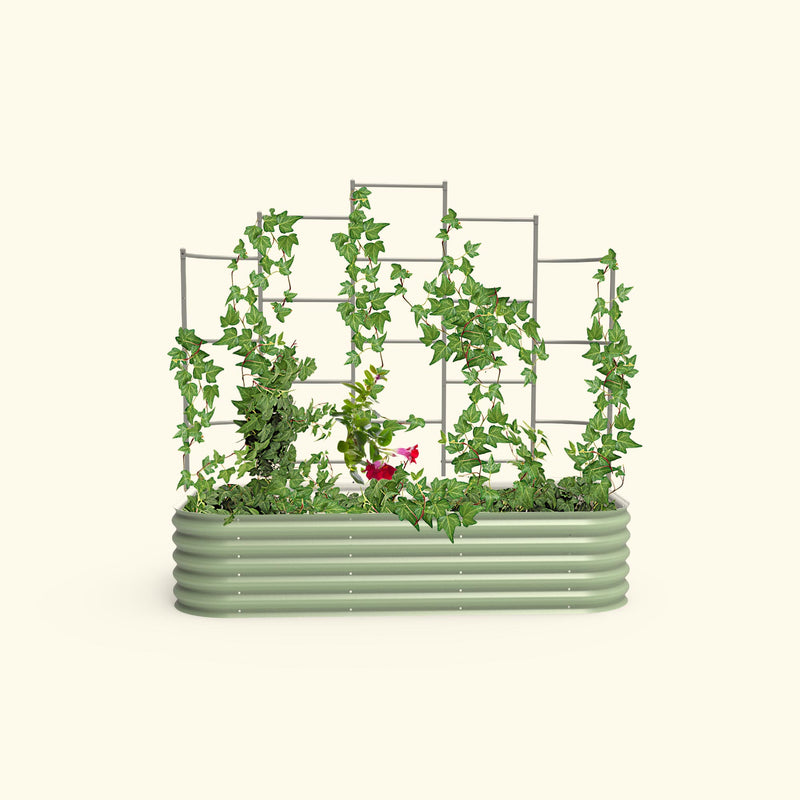 Wall Trellis 3.5&