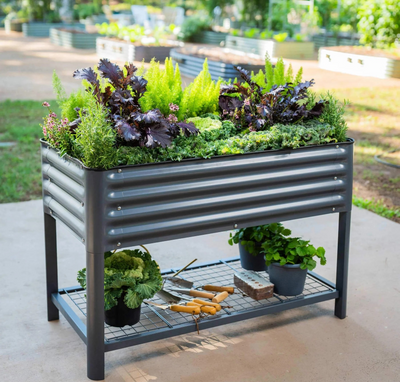 Elevated vs. Raised: Which Garden Bed is Best for You?