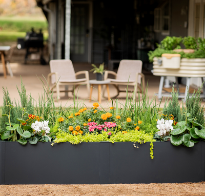 Spring Garden Makeover: Elevate Your Gardening Game