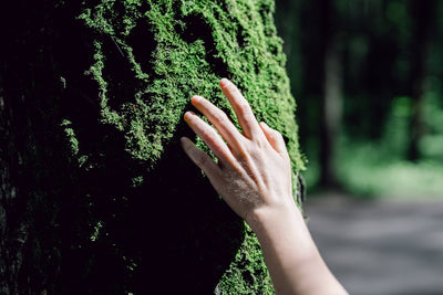 What is a Sensory Garden and How Do They Work?