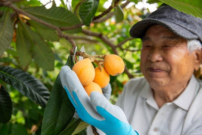 Freeze Drying Your Bumper Crops